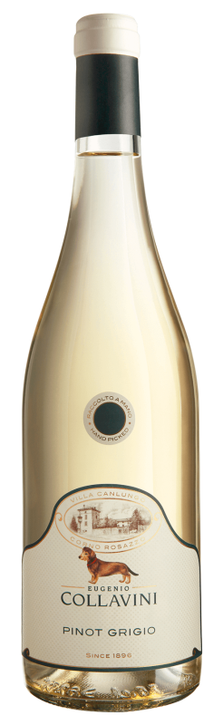 Villa Canlungo Pinot Grigio Friuli Venezia Giulia DOC